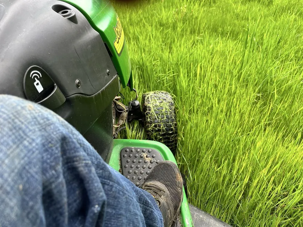 Top-rated landscape design in Warren, OR - Evergreen Landscape and Construction