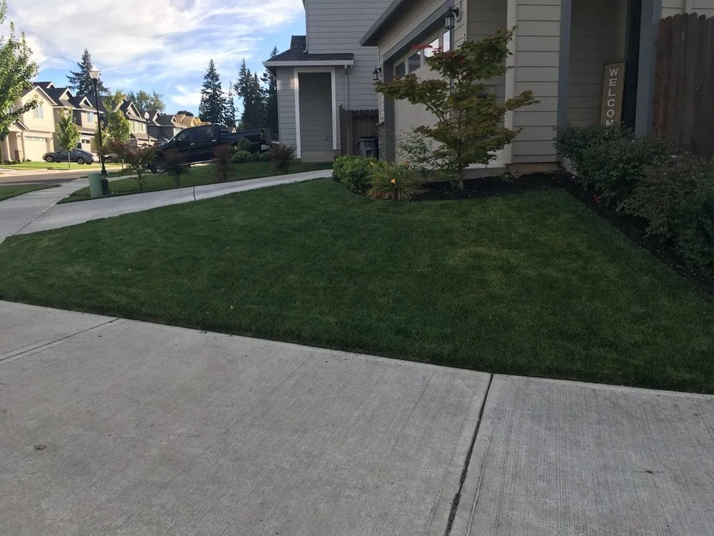 Top-rated yard maintenance in Warren, OR - Evergreen Landscape and Construction