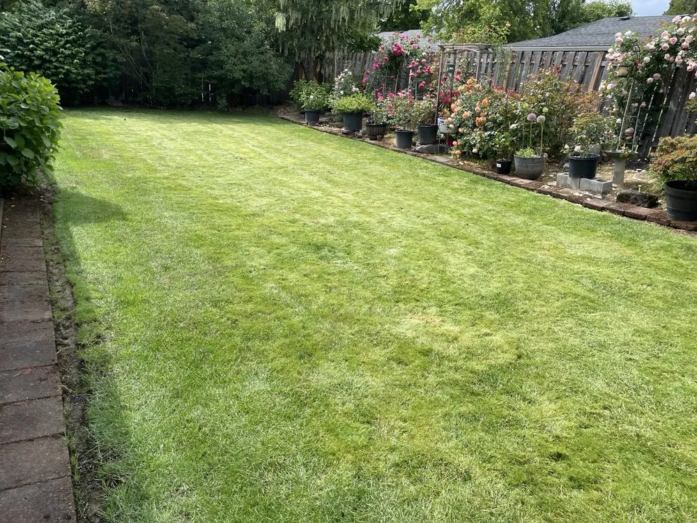 Local yard maintenance in Warren, OR by Evergreen Landscape and Construction