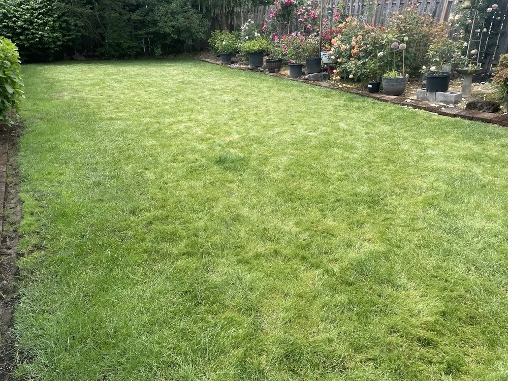 Local lawn mowing service for residential properties across Warren, OR - Evergreen Landscape and Construction