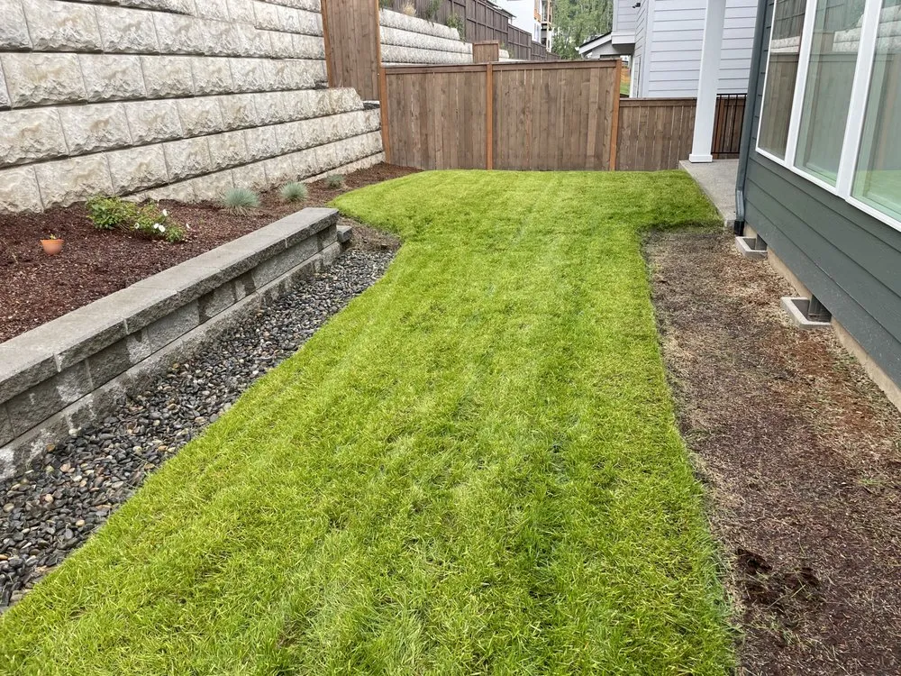 Reliable yard cleanup service experts serving Warren, OR - Evergreen Landscape and Construction