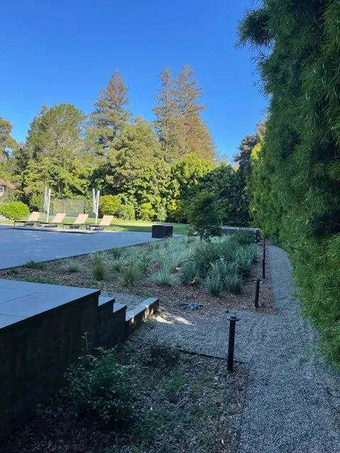 Top-rated yard cleanup service in East Palo Alto, CA - Evergreen Landscape and Garden Maintenance