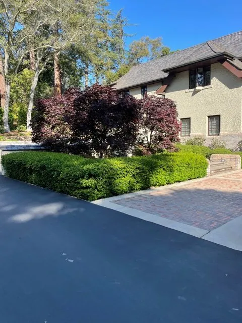 Reliable yard maintenance for homes across East Palo Alto, CA - Evergreen Landscape and Garden Maintenance