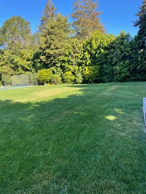 Local lawn mowing service near you across East Palo Alto, CA - Evergreen Landscape and Garden Maintenance