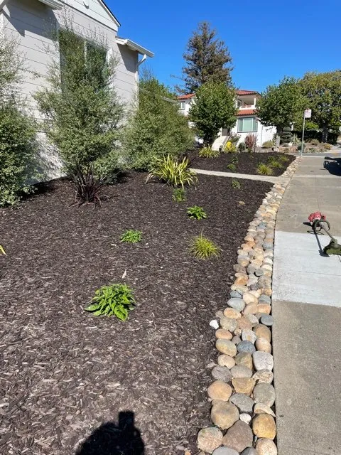 Top-rated garden landscaping in East Palo Alto, CA by Evergreen Landscape and Garden Maintenance