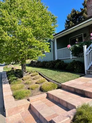 Evergreen Landscape and Garden Maintenance Logo