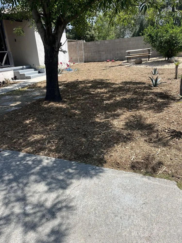 Reliable residential landscaping in Azusa, CA by Evergreen Landscape