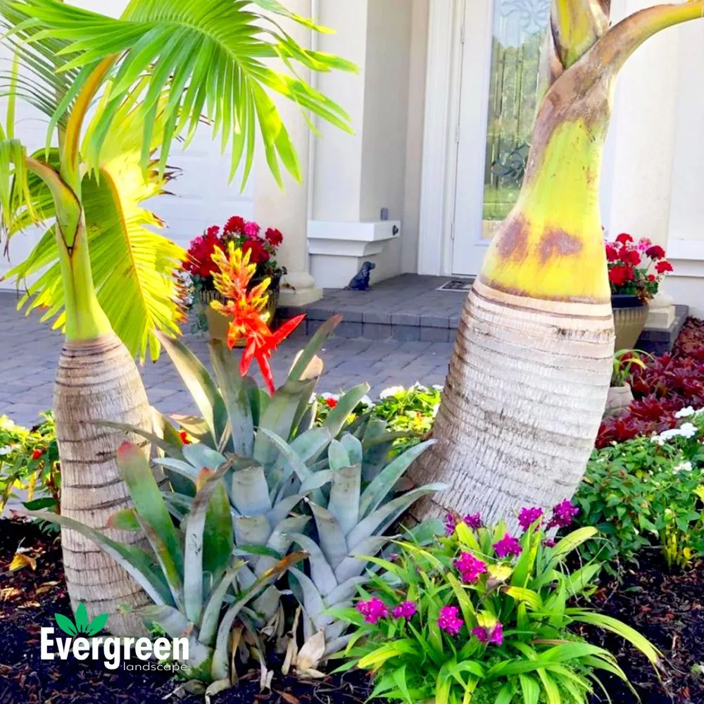 Custom yard maintenance in Boynton Beach, FL - Evergreen Landscape