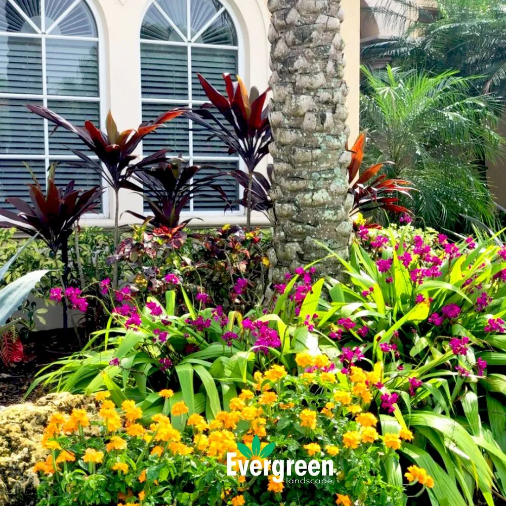Local garden landscaping in Boynton Beach, FL - Evergreen Landscape