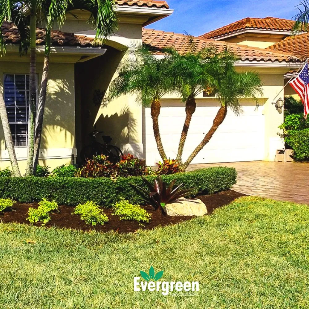 Trusted yard cleanup service experts serving Boynton Beach, FL - Evergreen Landscape