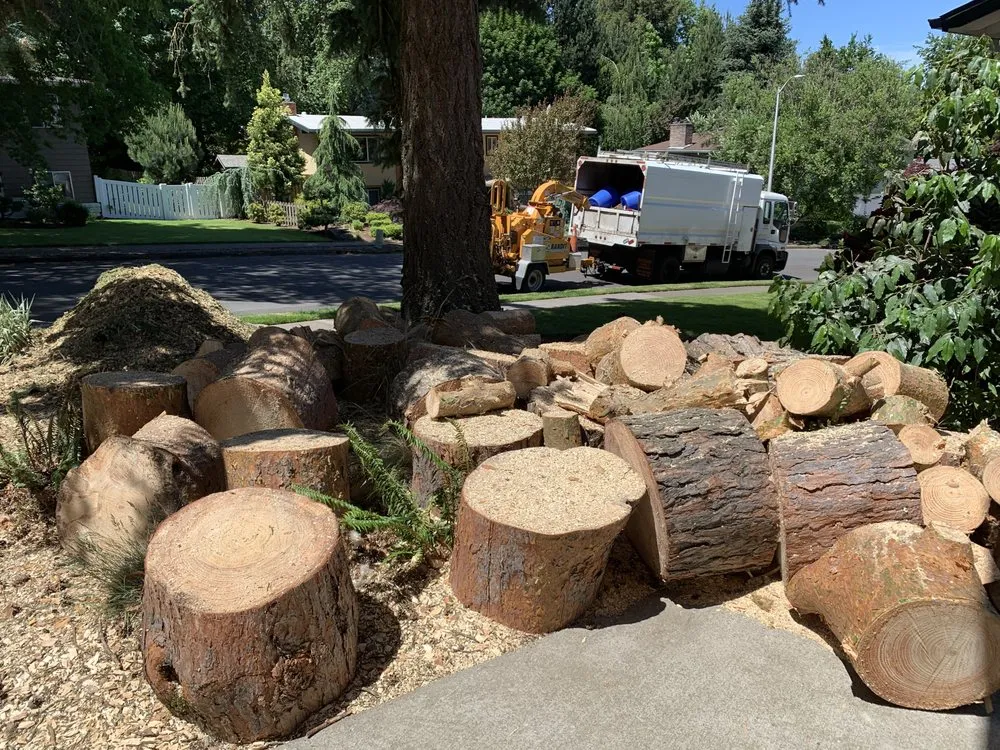 Local landscaping services in Beaverton, OR by Evergreen Landscape Care & Tree Services