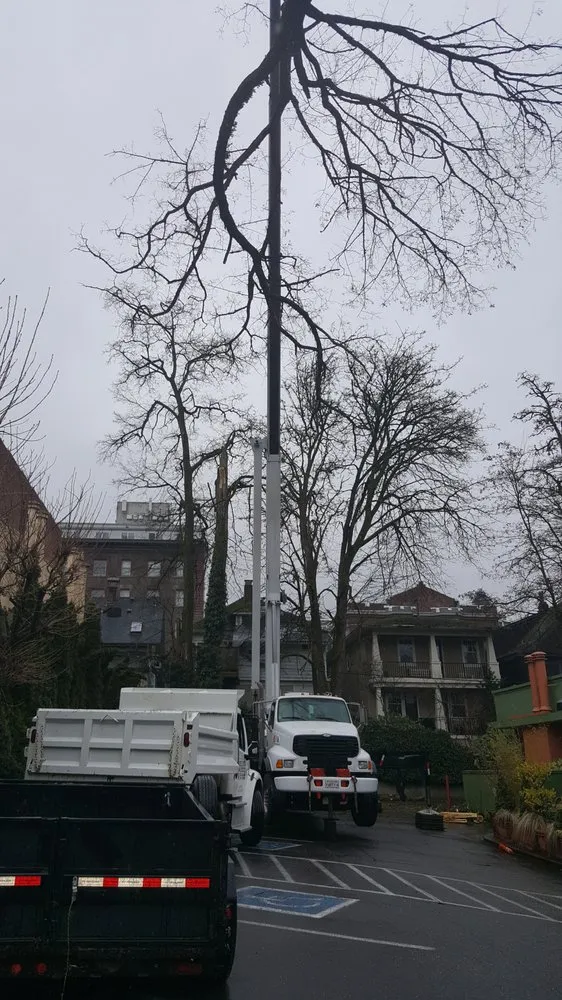 Expert lawn care service in Beaverton, OR by Evergreen Landscape Care & Tree Services