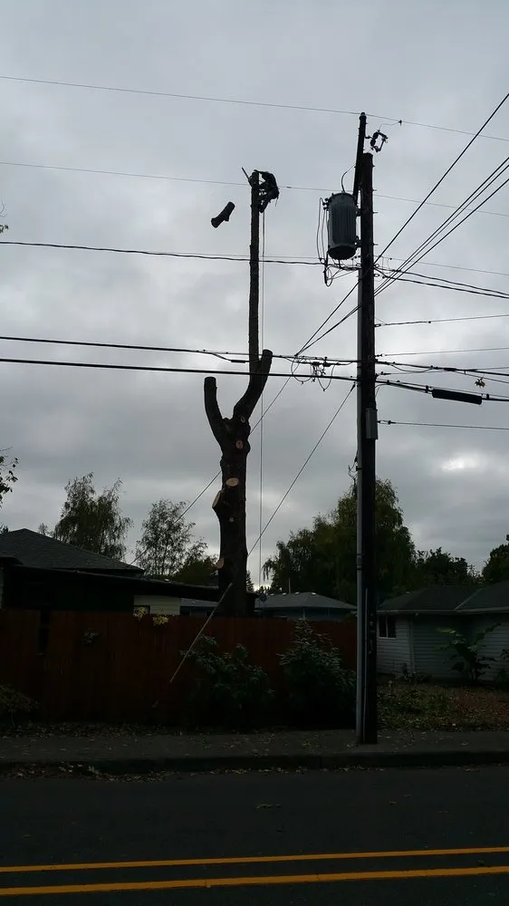 Local landscaping services in Beaverton, OR - Evergreen Landscape Care & Tree Services