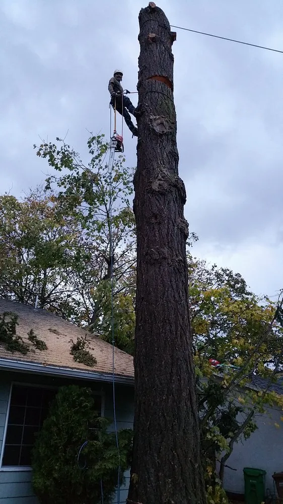 Affordable landscape design for outdoor upgrades across Beaverton, OR - Evergreen Landscape Care & Tree Services