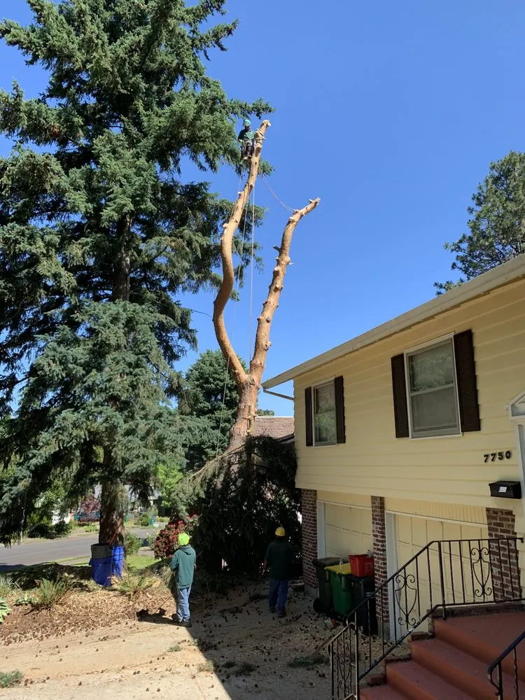 Expert outdoor landscaping for outdoor upgrades across Beaverton, OR - Evergreen Landscape Care & Tree Services