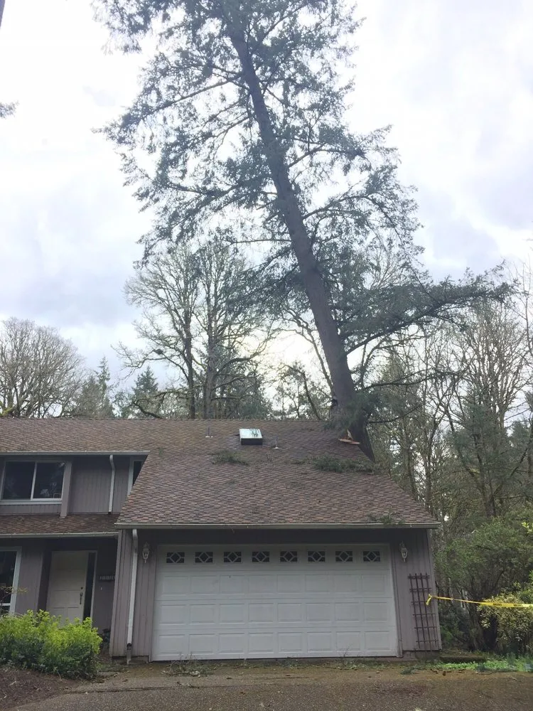 Top-rated landscaping services experts serving Beaverton, OR - Evergreen Landscape Care & Tree Services