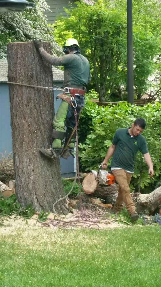 Trusted landscape design experts serving Beaverton, OR - Evergreen Landscape Care & Tree Services