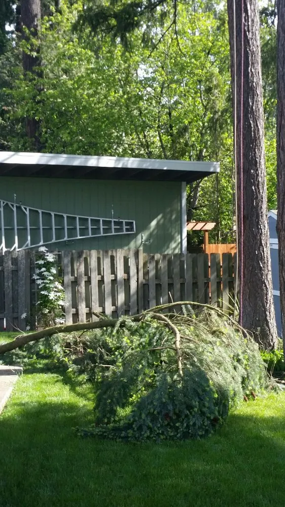 Affordable outdoor landscaping in Beaverton, OR - Evergreen Landscape Care & Tree Services