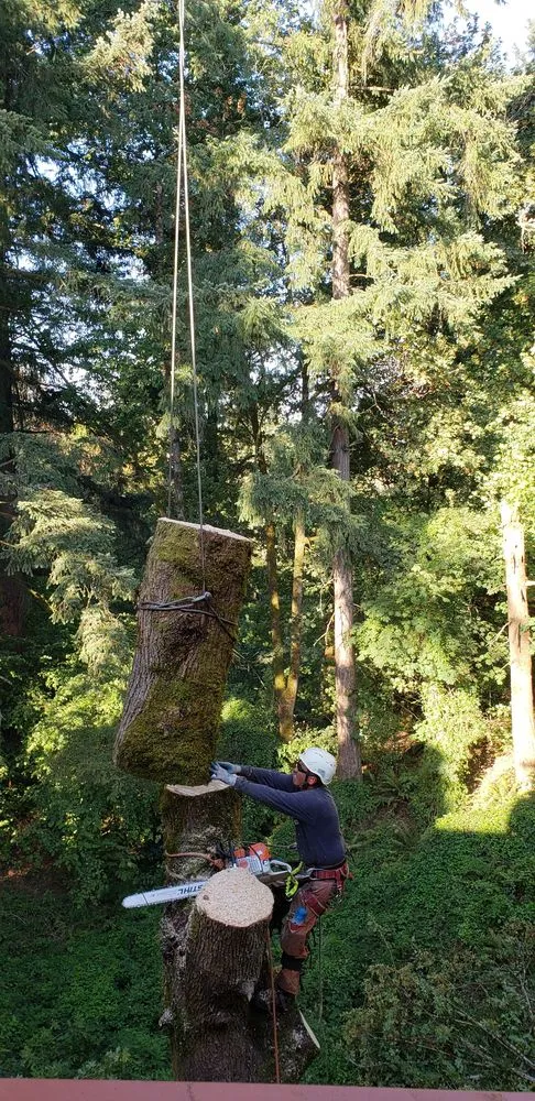 Custom lawn mowing service in Beaverton, OR by Evergreen Landscape Care & Tree Services