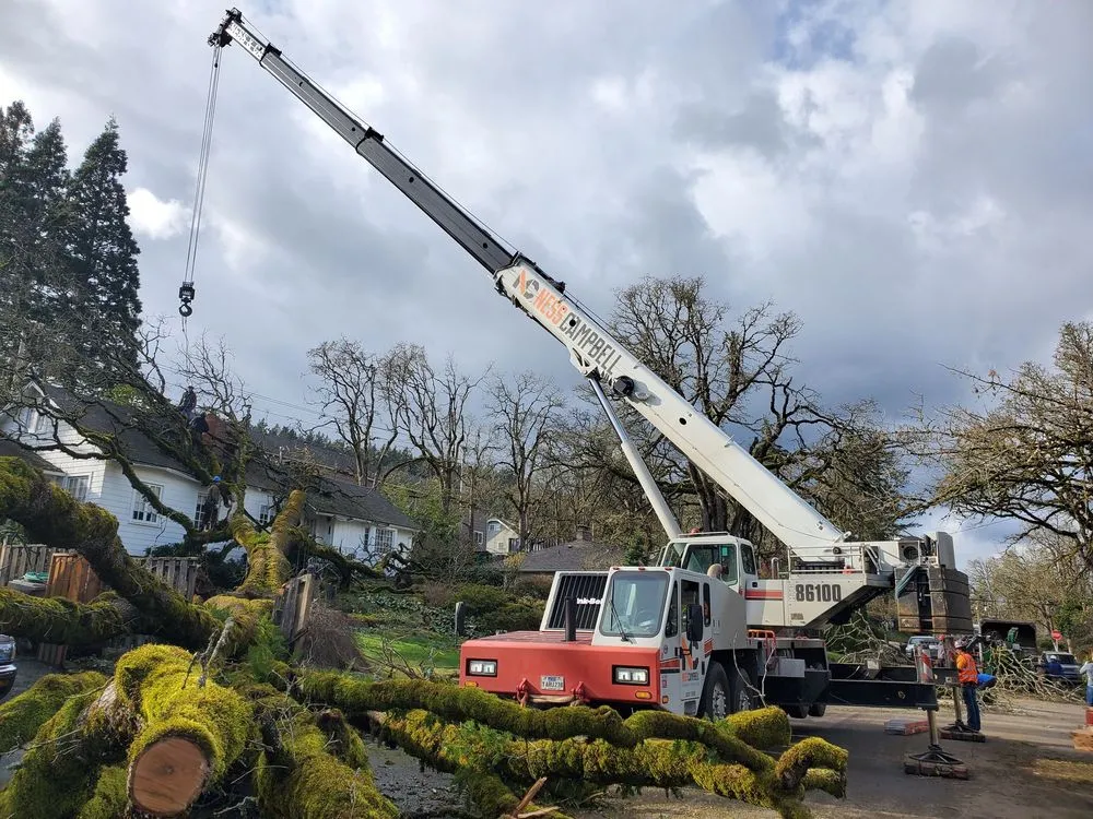 Local lawn mowing service in Beaverton, OR by Evergreen Landscape Care & Tree Services