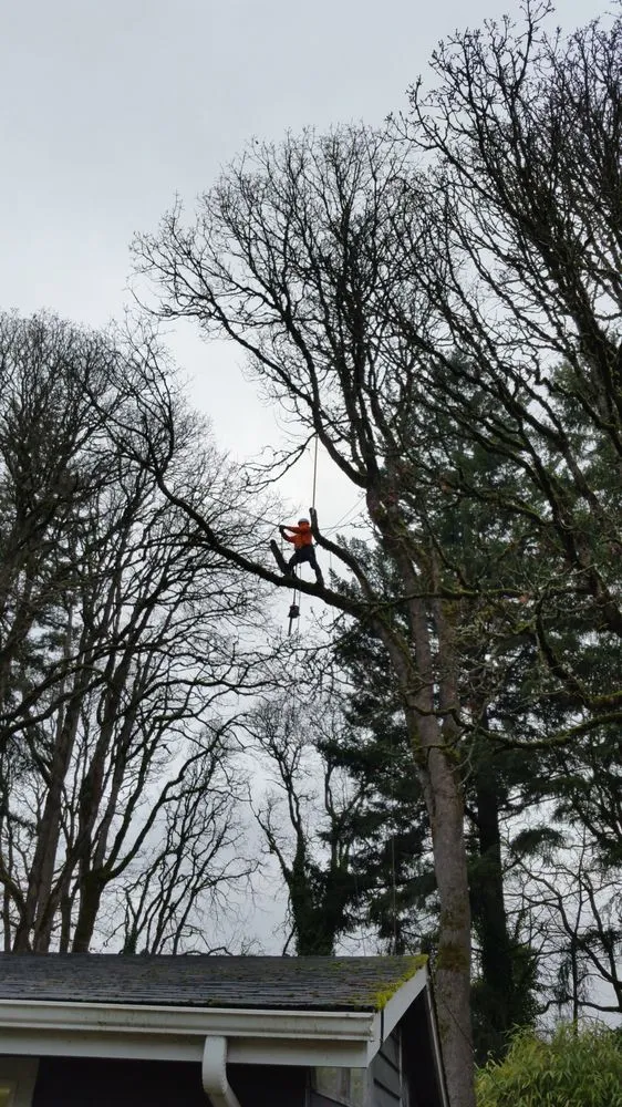 Reliable lawn care service with custom design across Beaverton, OR - Evergreen Landscape Care & Tree Services