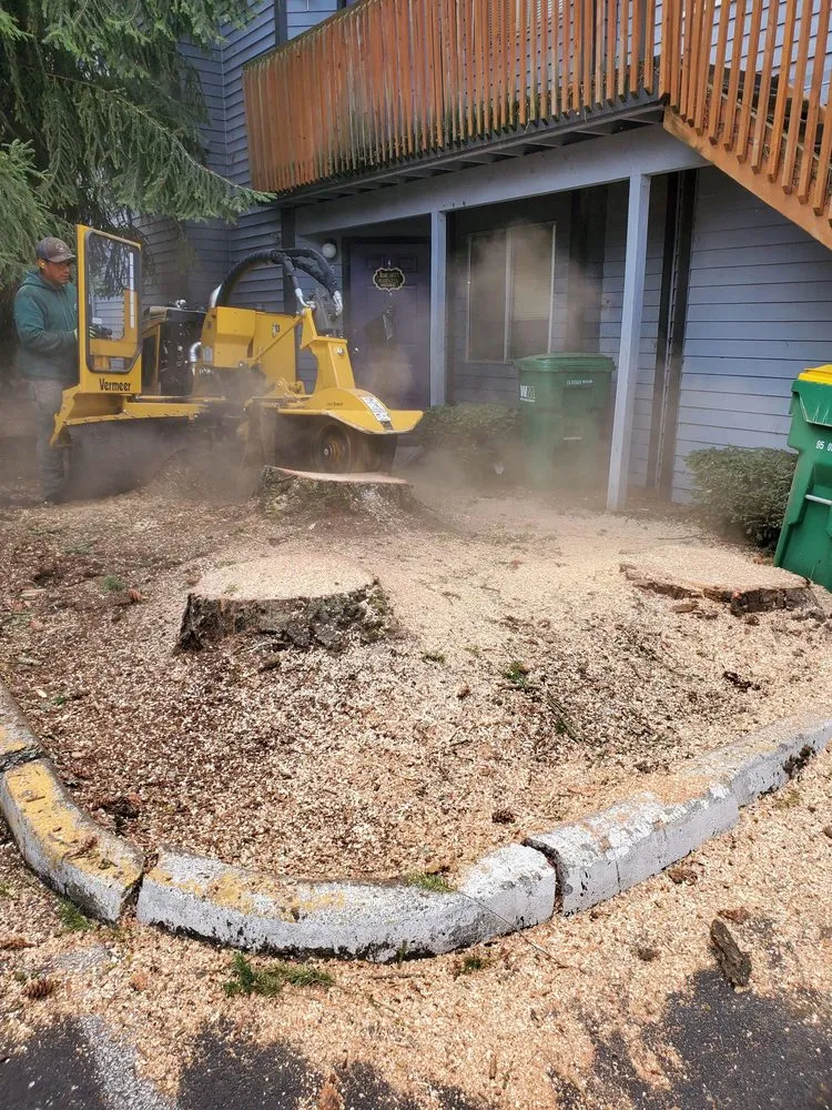 Custom yard cleanup service in Beaverton, OR - Evergreen Landscape Care & Tree Services