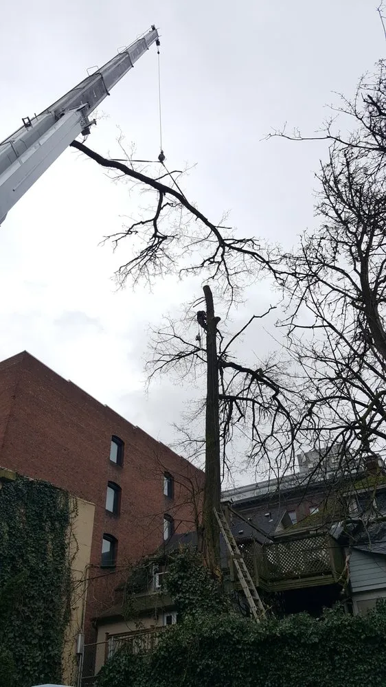 Reliable garden landscaping in Beaverton, OR - Evergreen Landscape Care & Tree Services