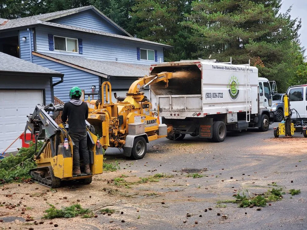 Affordable yard cleanup service for residential properties across Beaverton, OR - Evergreen Landscape Care & Tree Services