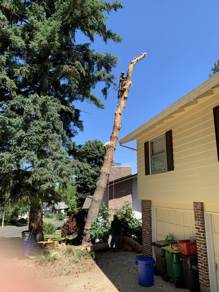 Expert landscape design for homes across Beaverton, OR - Evergreen Landscape Care & Tree Services