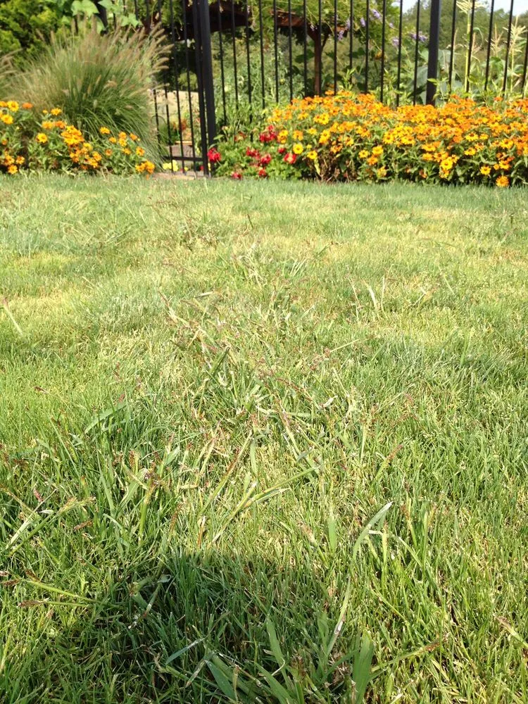 Professional landscaping services experts serving Gresham, OR - Evergreen Landscape Care Inc