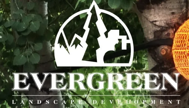 Top-rated yard maintenance in Reno, NV by Evergreen Landscape Development