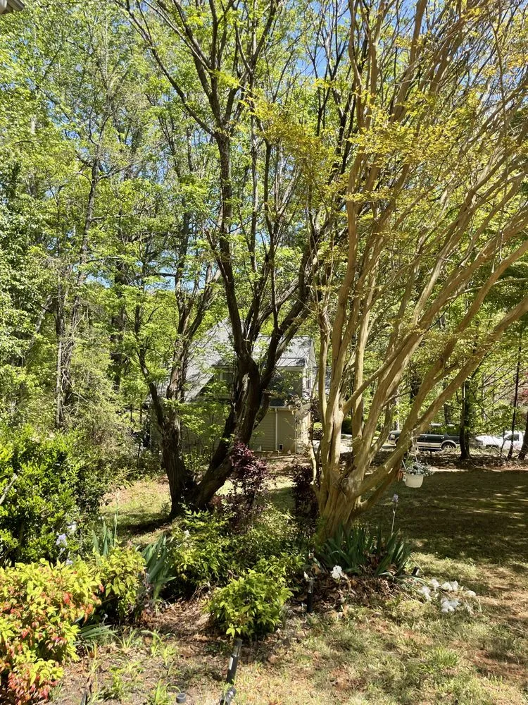 Custom yard cleanup service near you in Gainesville, GA by Evergreen Landscape