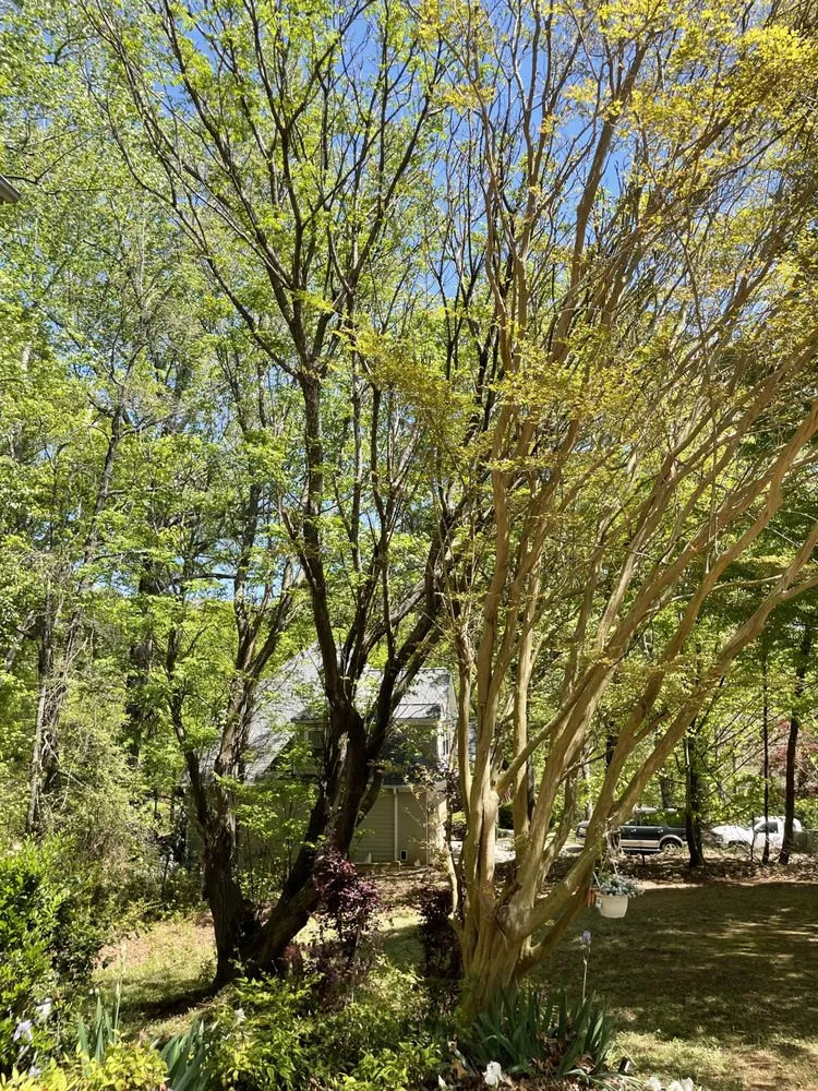 Top-rated lawn mowing service in Gainesville, GA by Evergreen Landscape