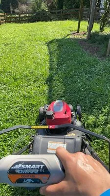 Evergreen Landscape Logo