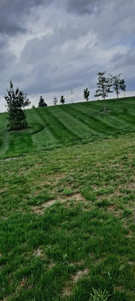 Custom landscape design for outdoor upgrades in Indianapolis, IN by Evergreen Landscape