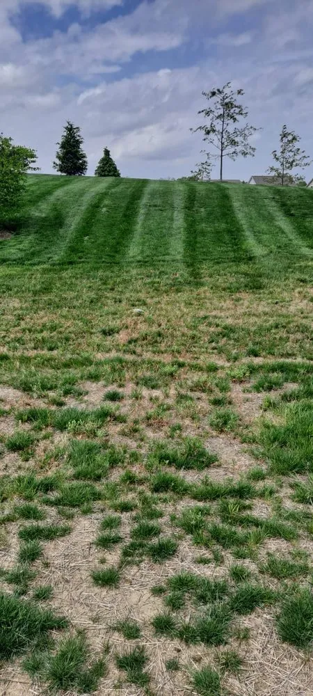 Professional garden landscaping for outdoor upgrades in Indianapolis, IN by Evergreen Landscape