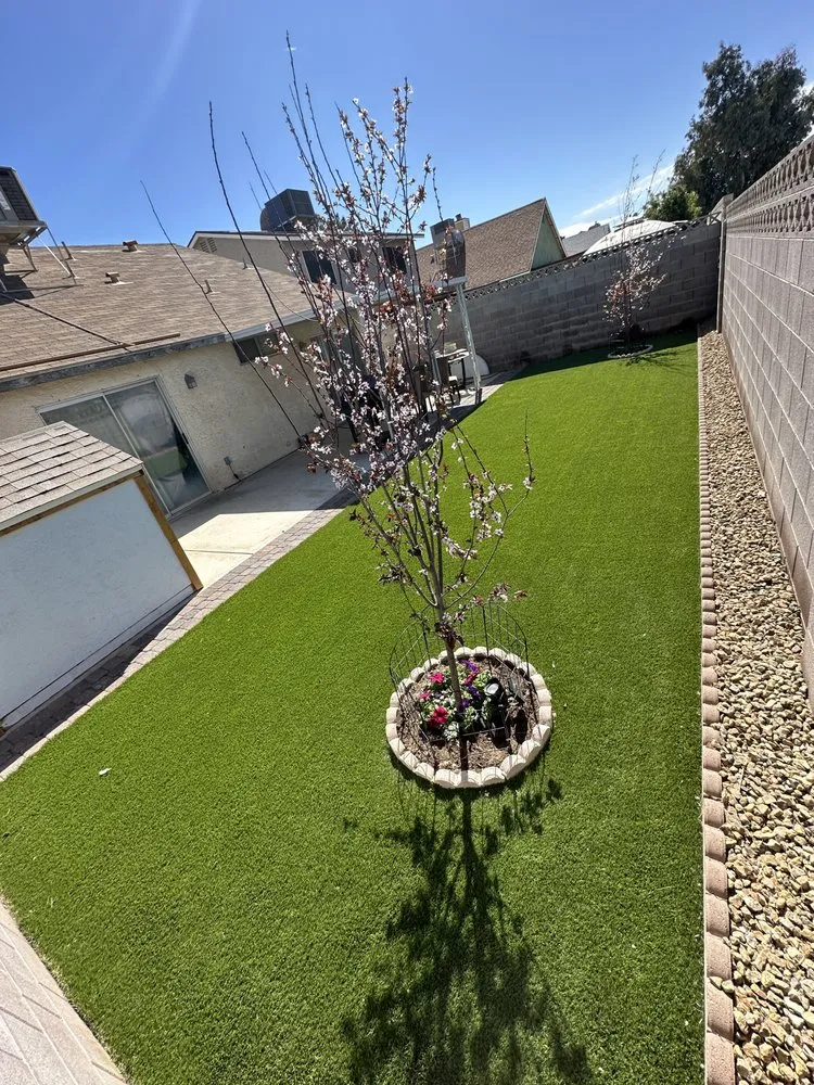 Custom residential landscaping for beautiful yards across Las Vegas, NV - Evergreen Landscape