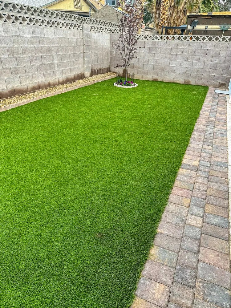 Expert yard maintenance in Las Vegas, NV by Evergreen Landscape