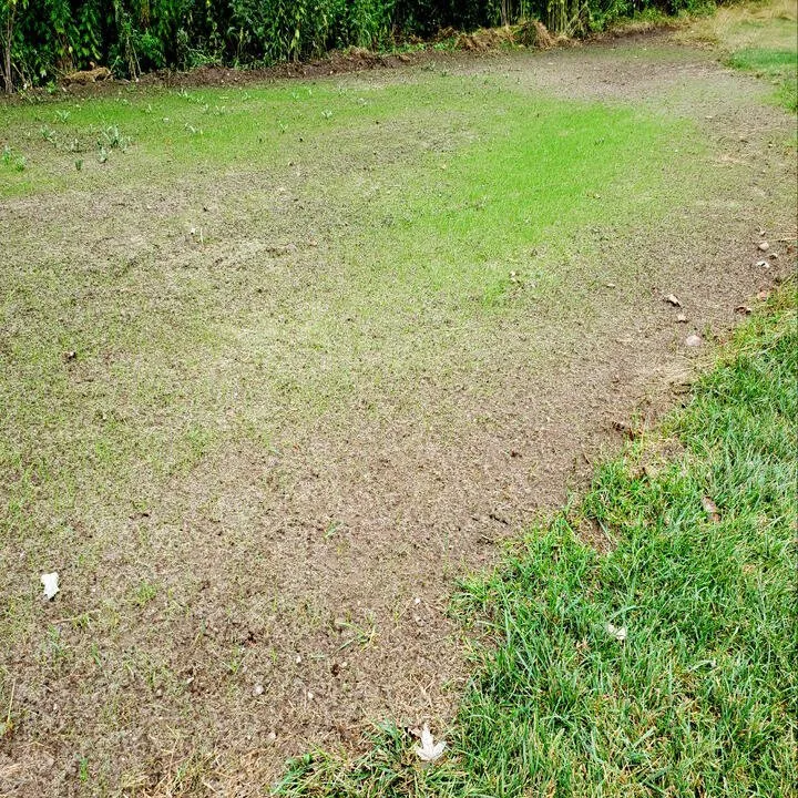 Expert yard cleanup service for beautiful yards in Scottsville, NY by Evergreen Landscape Management