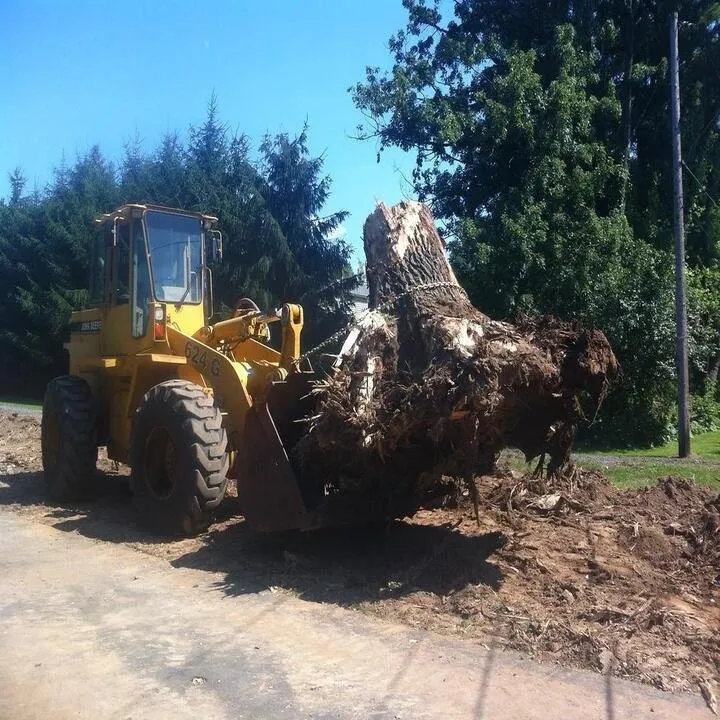 Affordable outdoor landscaping experts serving Scottsville, NY - Evergreen Landscape Management