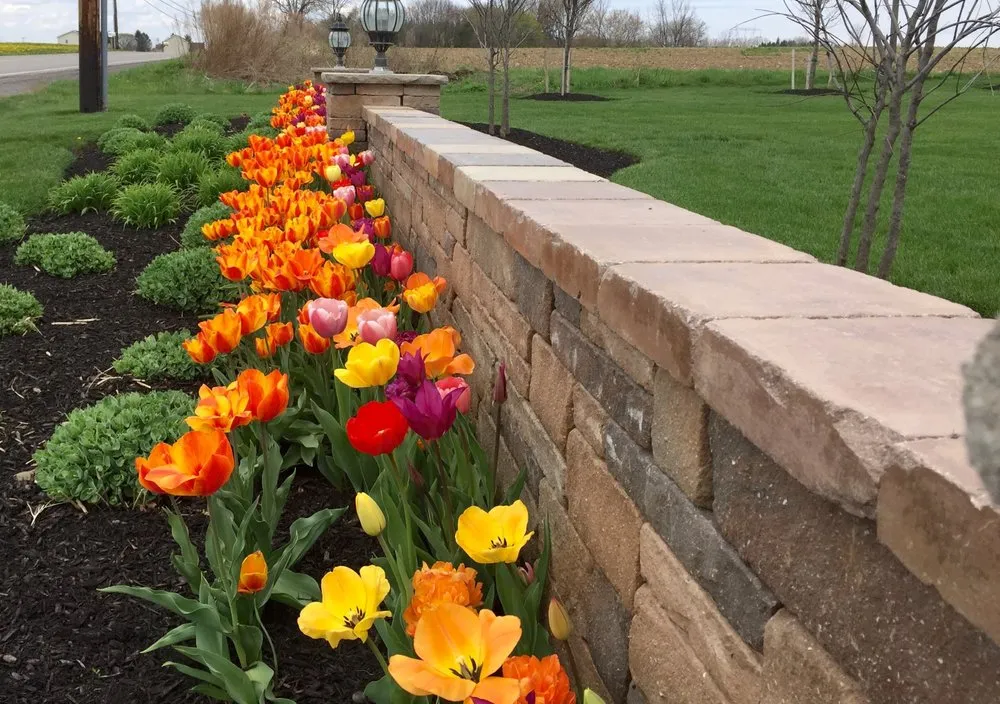 Top-rated landscape installation experts serving Scottsville, NY - Evergreen Landscape Management