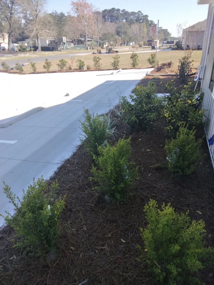 Top-rated lawn care service in Ocean Isle Beach, NC by Evergreen Landscape