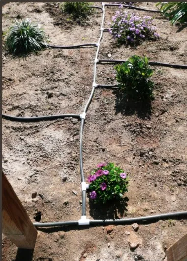 Professional lawn care service in Atwater, CA - Evergreen Landscape Service