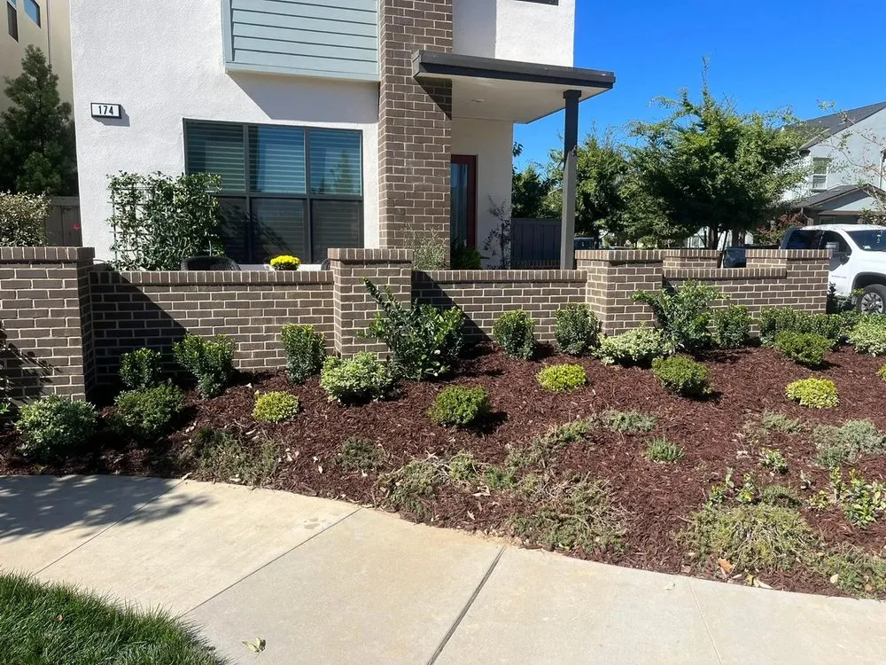 Affordable lawn mowing service experts serving Sacramento, CA - Evergreen Landscape Service