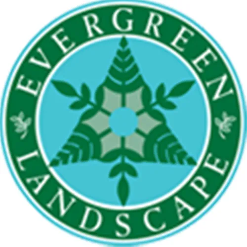 Professional yard cleanup service in Springfield, IL by Evergreen Landscape