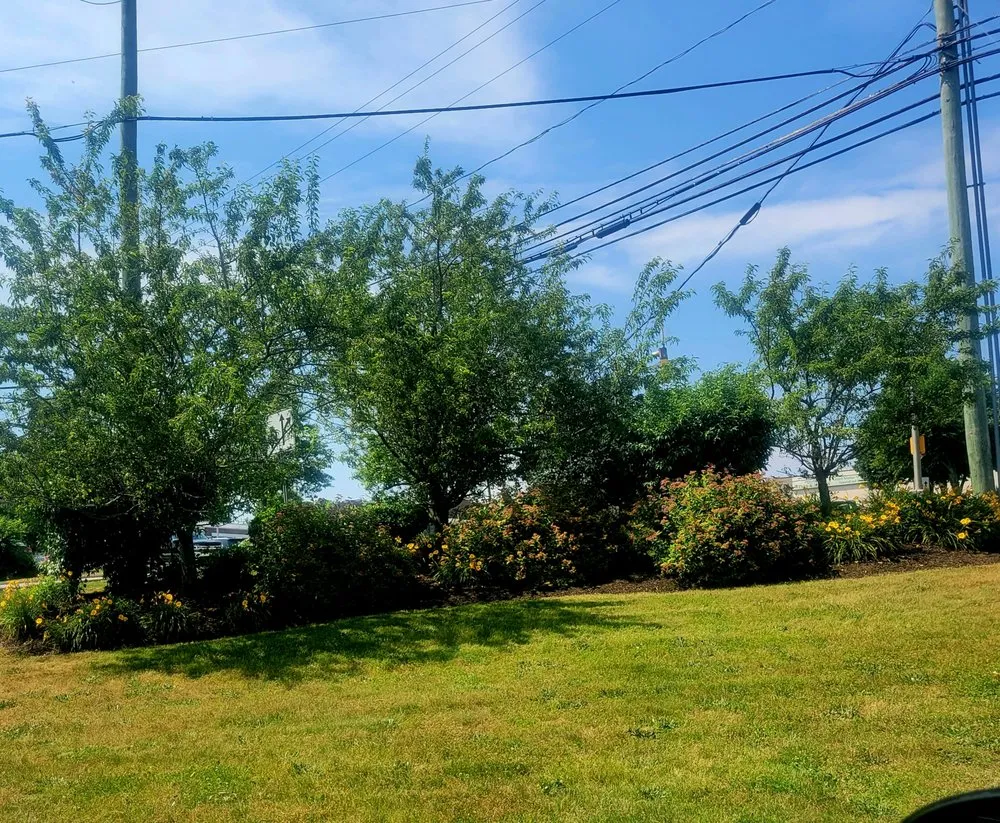 Trusted yard maintenance with custom design in waterford, CT by Evergreen Landscape