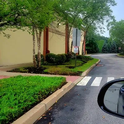 Evergreen Landscape Logo