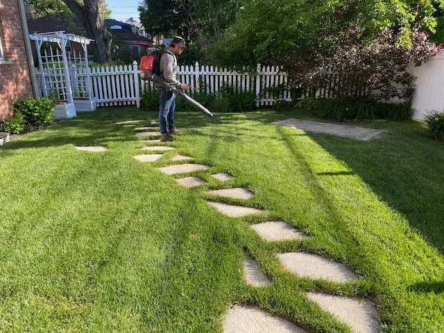 Expert lawn mowing service for outdoor upgrades across Chicago, IL - Evergreen Landscapes