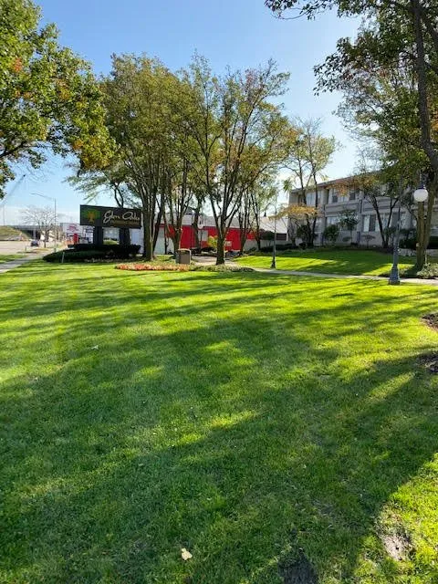 Local landscaping services for homes across Chicago, IL - Evergreen Landscapes