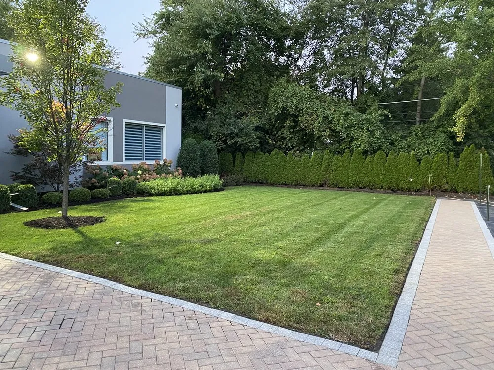 Reliable yard cleanup service near you across Chicago, IL - Evergreen Landscapes